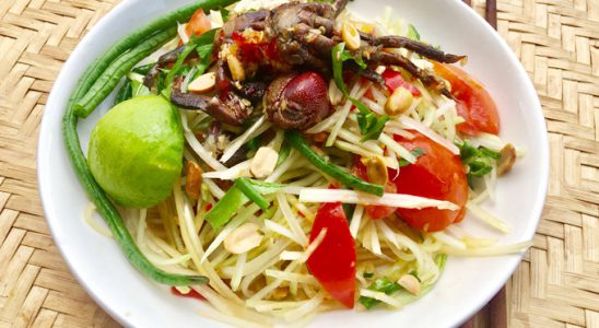 Gỏi đu đủ ba khía